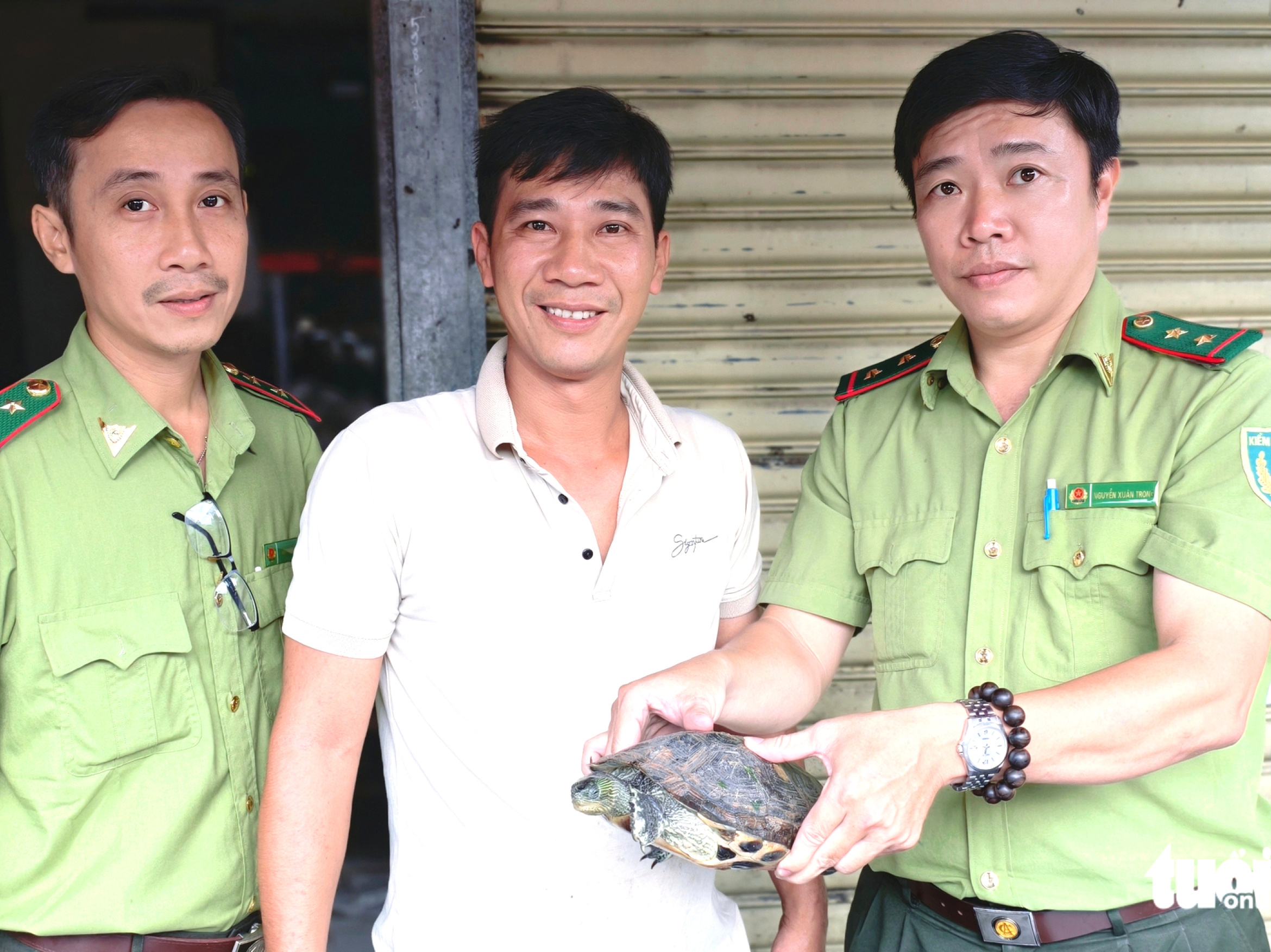 条纹颈龟在巴点乡迷路,水果摊贩捕获后移交胡志明市林业局